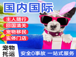 西安航空物流国际宠物托运 【国